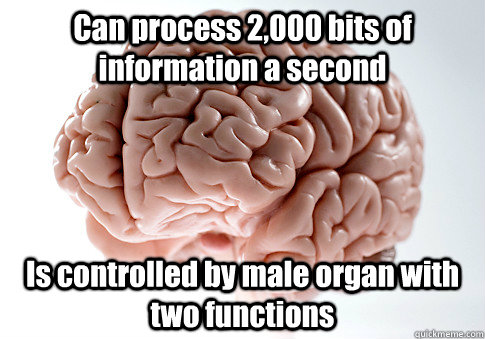 Can process 2,000 bits of information a second Is controlled by male organ with two functions  Scumbag Brain