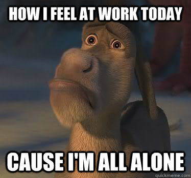 How i feel at work today Cause I'm all alone - How i feel at work today Cause I'm all alone  Donkey alone  work