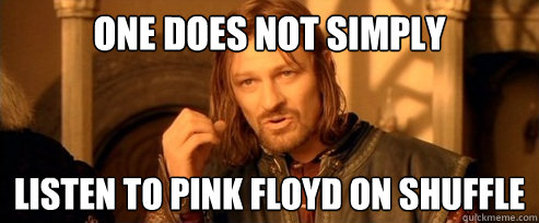 One does not simply listen to pink floyd on shuffle  One Does Not Simply