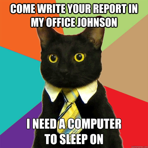 come write your report in my office johnson i need a computer 
to sleep on  Business Cat