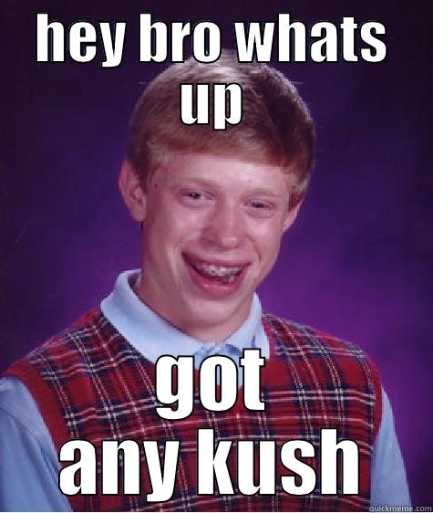HEY BRO WHATS UP GOT ANY KUSH Bad Luck Brian