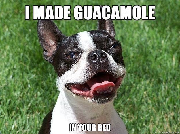 I made guacamole In your bed  
