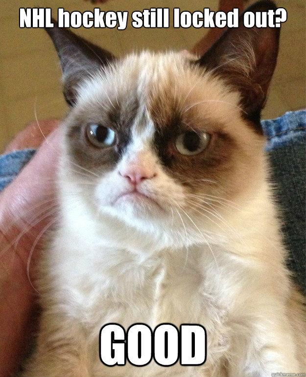 NHL hockey still locked out? GOOD - NHL hockey still locked out? GOOD  Grumpy Cat