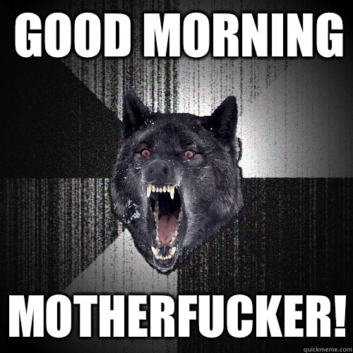 Good morning Motherfucker!  Insanity Wolf