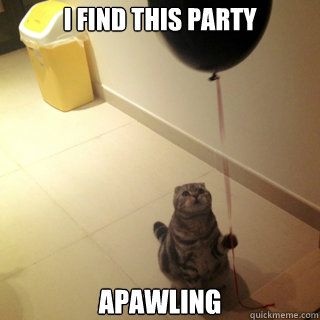 I find this party Apawling  Sad Birthday Cat