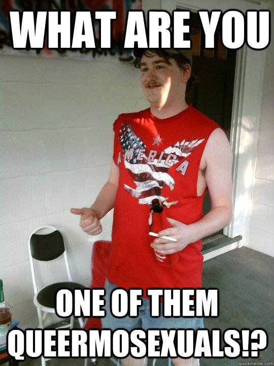 what are you one of them queermosexuals!?  Redneck Randal