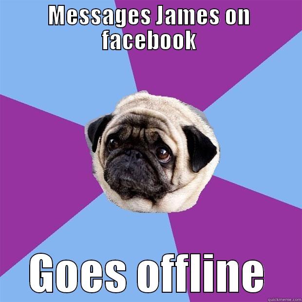 MESSAGES JAMES ON FACEBOOK GOES OFFLINE Lonely Pug