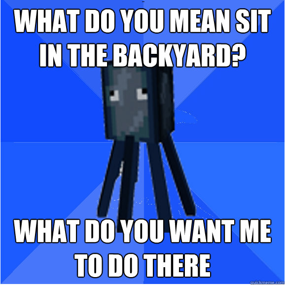 what do you mean sit in the backyard? what do you want me to do there  Socially Awkward Squid