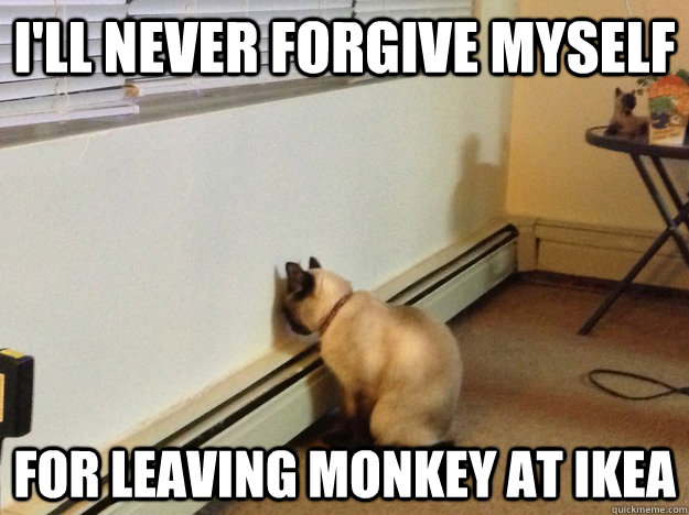 I'll never forgive myself for leaving monkey at ikea - I'll never forgive myself for leaving monkey at ikea  Regretful Cat