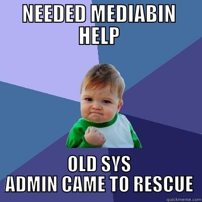 NEEDED MEDIABIN HELP OLD SYS ADMIN CAME TO RESCUE Success Kid