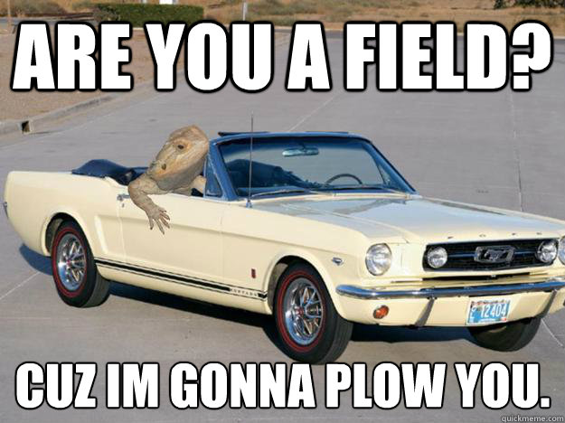 Are you a field? Cuz im gonna plow you.
 - Are you a field? Cuz im gonna plow you.
  Pickup Dragon