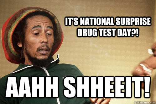 it's national surprise drug test day?! aahh shheeit! - it's national surprise drug test day?! aahh shheeit!  Happy 421