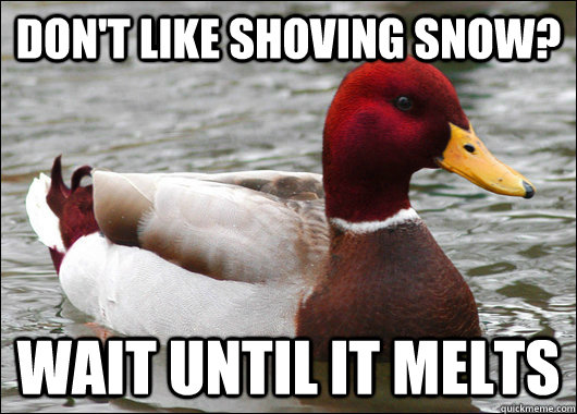Don't like shoving snow? Wait until it melts  Malicious Advice Mallard