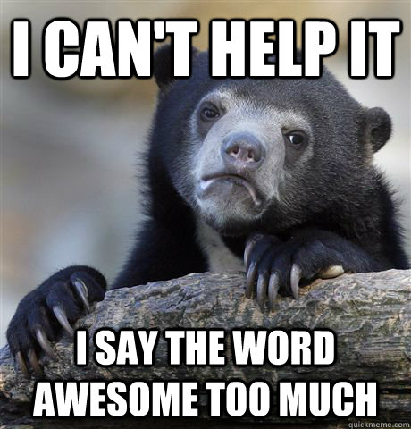 i can't help it I say the word awesome too much  Confession Bear