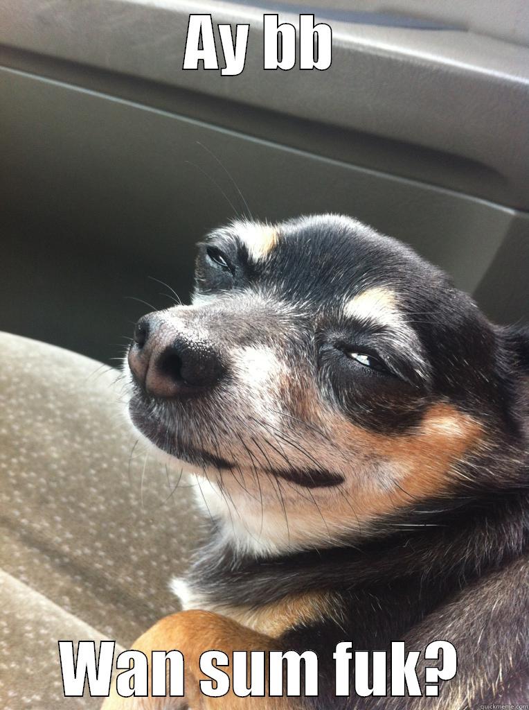 AY BB WAN SUM FUK? Misc