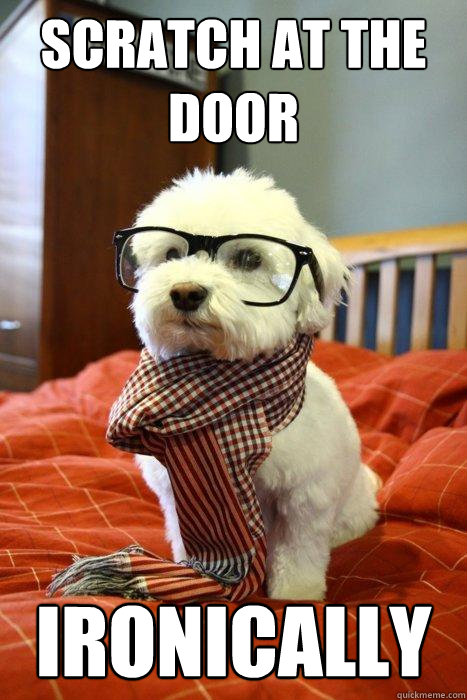 Scratch at the door ironically  Hipster Dog