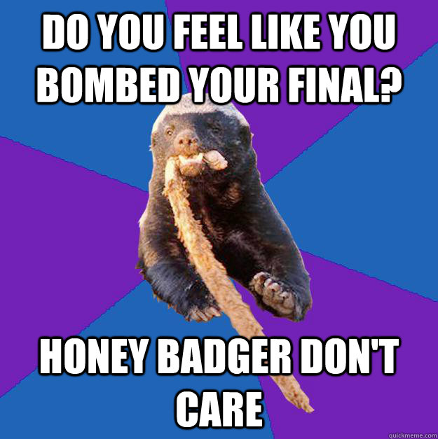 Do you feel like you bombed your final? honey badger don't care - Do you feel like you bombed your final? honey badger don't care  Honey Badger Dont Care
