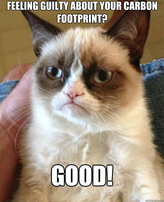 FEELING GUILTY ABOUT YOUR CARBON FOOTPRINT? GOOD! - FEELING GUILTY ABOUT YOUR CARBON FOOTPRINT? GOOD!  Misc
