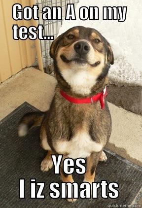 GOT AN A ON MY TEST...                      YES I IZ SMARTS Good Dog Greg