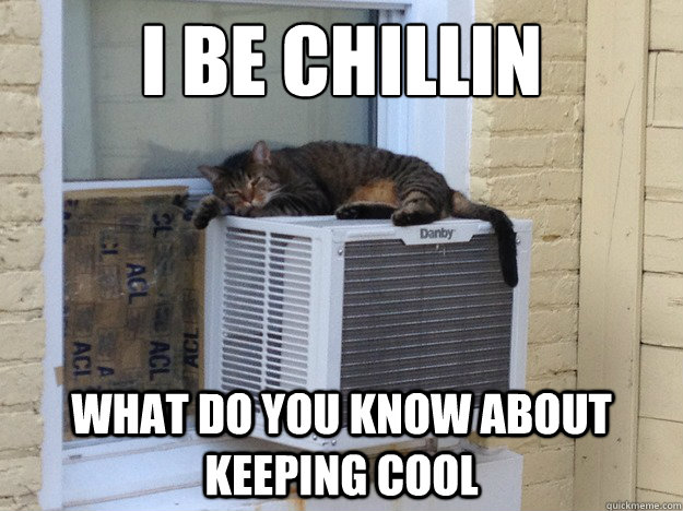 I be chillin what do you know about keeping cool  Cool Cat