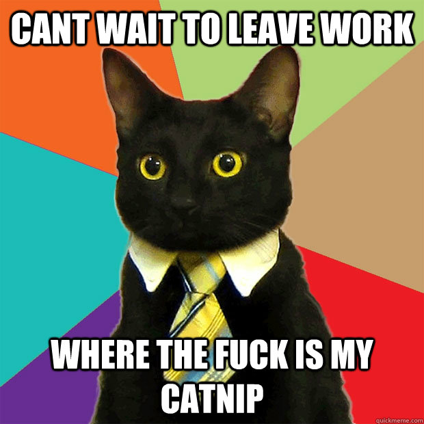 Cant Wait To leave work Where the fuck is my catnip - Cant Wait To leave work Where the fuck is my catnip  Business Cat