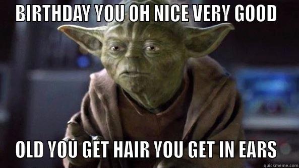 BIRTHDAY YOU OH NICE VERY GOOD  OLD YOU GET HAIR YOU GET IN EARS  True dat, Yoda.