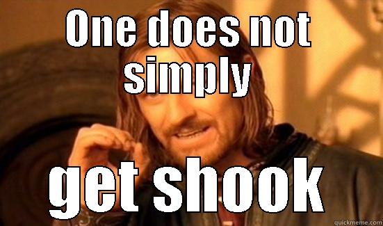 can't get shook - ONE DOES NOT SIMPLY GET SHOOK Boromir