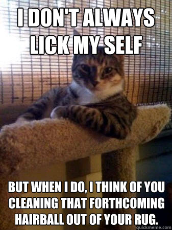 I don't always lick my self But when i do, I think of you cleaning that forthcoming hairball out of your rug.  The Most Interesting Cat in the World