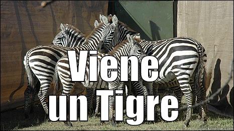  VIENE UN TIGRE Misc