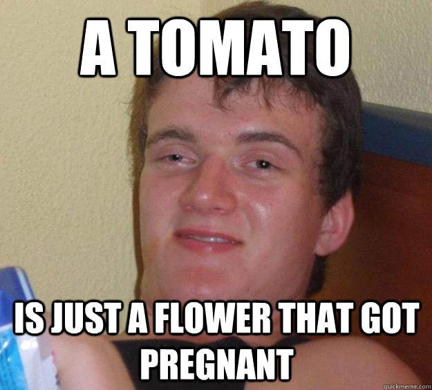 A tomato is just a flower that got pregnant  10 Guy