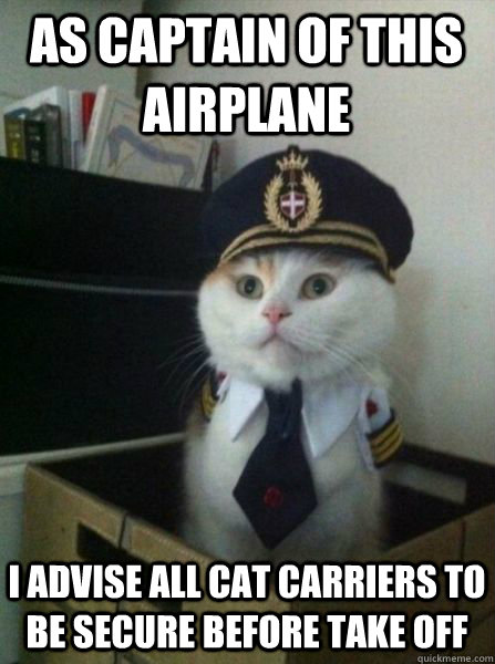 As captain of this airplane I advise all cat carriers to be secure before take off  Captain kitteh