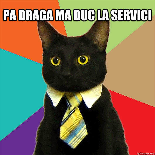 pa draga ma duc la servici      Caption 7 goes here Caption 8 goes here  Business Cat