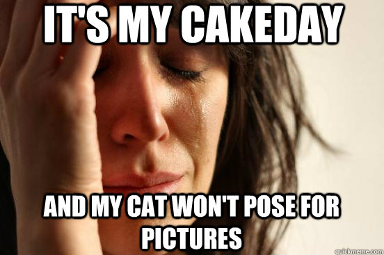It's my Cakeday and my cat won't pose for pictures  First World Problems