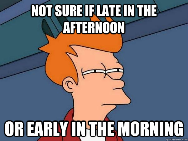 not sure if late in the afternoon  or early in the morning  - not sure if late in the afternoon  or early in the morning   fry not sure