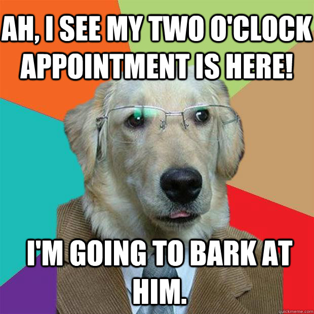 ah, i see my two o'clock appointment is here! i'm going to bark at him.  Business Dog