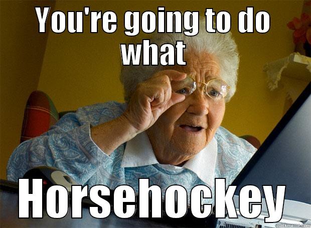 YOU'RE GOING TO DO WHAT HORSEHOCKEY Grandma finds the Internet