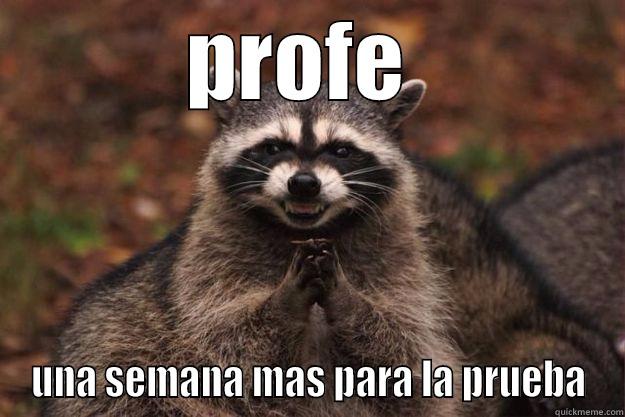 PROFE  UNA SEMANA MAS PARA LA PRUEBA Evil Plotting Raccoon