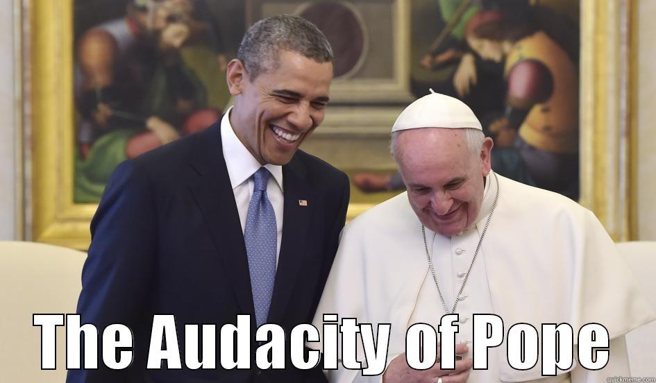  THE AUDACITY OF POPE Misc