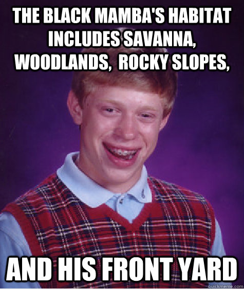 The black mamba's habitat includes savanna, woodlands,  rocky slopes, and his front yard  Bad Luck Brian