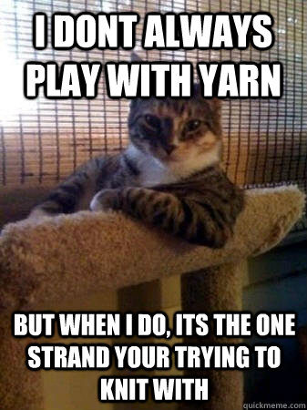 i dont always play with yarn but when i do, its the one strand your trying to knit with  The Most Interesting Cat in the World