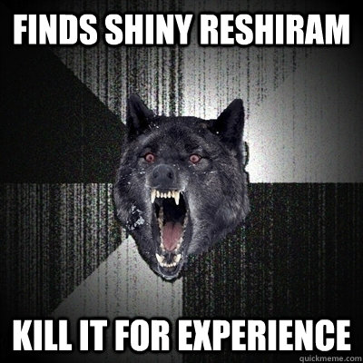 Finds Shiny Reshiram KIll it for experience  Bullets - Insanity wolf