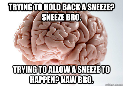 TRYING TO HOLD BACK A SNEEZE? SNEEZE BRO. TRYING TO ALLOW A SNEEZE TO HAPPEN? NAW BRO.   Scumbag Brain