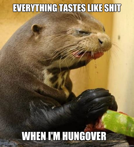 Everything tastes like shit when i'm hungover  Disgusted Otter