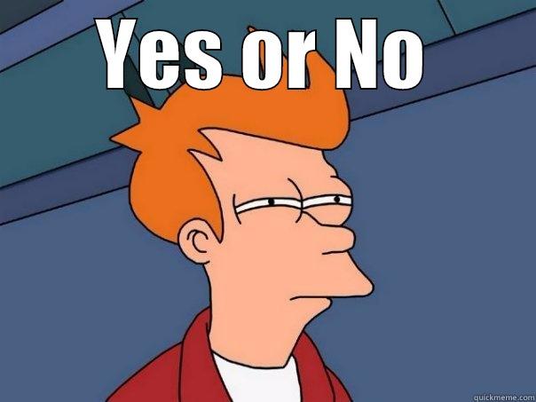 YES OR NO  Futurama Fry