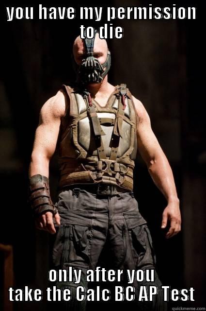 YOU HAVE MY PERMISSION TO DIE ONLY AFTER YOU TAKE THE CALC BC AP TEST Misc