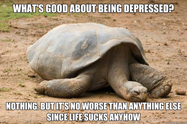 What's good about being depressed? Nothing. But it's no worse than anything else since life sucks anyhow  Depression Turtle