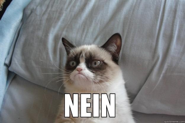 German Cat -  NEIN Grumpy Cat