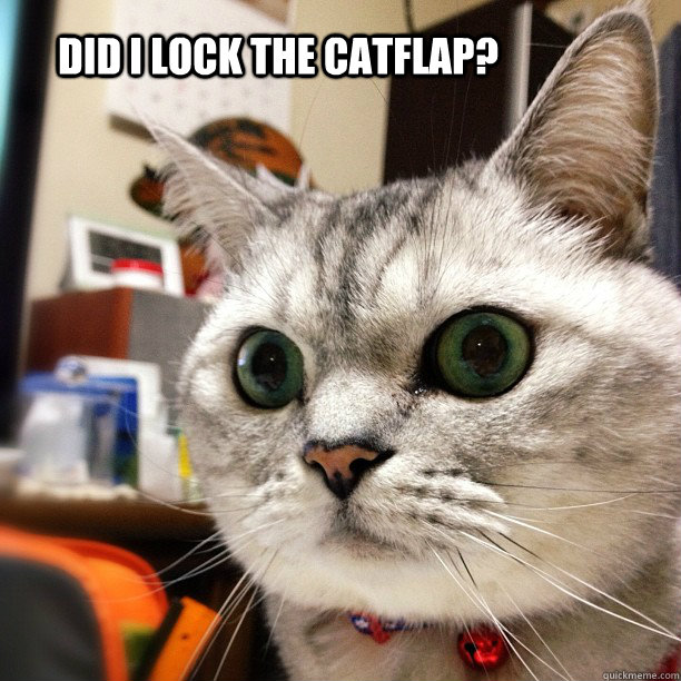 DID I LOCK THE CATFLAP?  