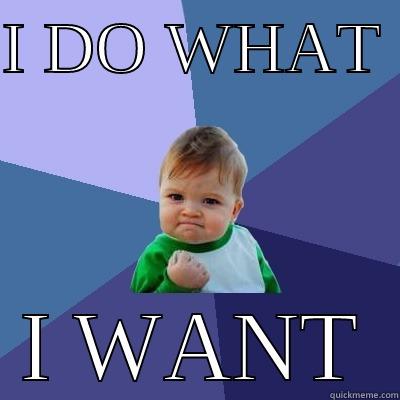 I DO WHAT  I WANT Success Kid