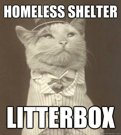 Homeless shelter litterbox  Aristocat